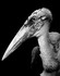photographies en noir et blanc