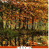 forêts splendides en automne.