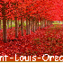 forêts splendides en automne.