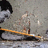 Il anime des paysage urbain.
