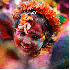 Photographies du festival des 