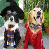 Costumes d’halloween super m