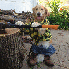 Une chienne talentueuse qui pr