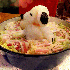 D’adorables animaux en radis