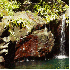 Paysages paradisiaques de la G
