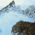 Paysages paradisiaques de la G