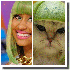 Des chats qui ressemblent a de