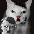 Des chats qui ressemblent a de