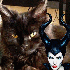 Des chats qui ressemblent a de