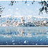 Paysages enneigés qui vous do