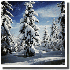 Paysages enneigés qui vous do