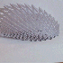 Sculptures en papier.