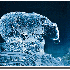 Sculptures de glace .