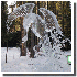 Sculptures de glace .