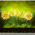 Le plus grand feu d’artifice