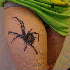 Tatouages qui créent des illu