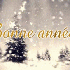 Bonne Année 2015.