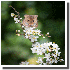 Ces photographies vont vous fa