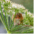 Ces photographies vont vous fa