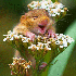 Ces photographies vont vous fa