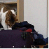 Des chats qui ne s’attendaie
