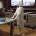 Des chats qui ne s’attendaie