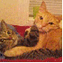 Des chats qui ne s’attendaie