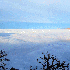Une brume épaisse recouvrant 