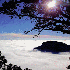 Une brume épaisse recouvrant 