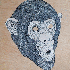 Dessin…non - ce sont pourtan