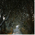 Ces mystérieuses routes qui s
