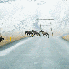 Ces mystérieuses routes qui s