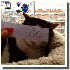 Ils transforment leurs chats 