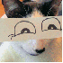 Ils transforment leurs chats 