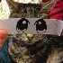 Ils transforment leurs chats 