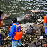 Une pollution inimaginable asp