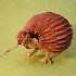 De magnifiques origamis d’ob