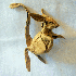 De magnifiques origamis d’ob