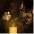Un chien et une chouette :Une 