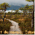 Ces forêts parmi les plus env