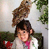 Caressez d’adorables chouett