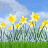 LA SAISON DU PRINTEMPS.