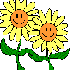 LA SAISON DU PRINTEMPS.