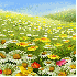 LA SAISON DU PRINTEMPS.