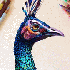 De simples crayons de couleur 