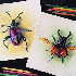 De simples crayons de couleur 