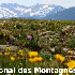 Des paysages fleuris .