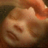 L’évolution d’un bébé d