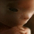 L’évolution d’un bébé d
