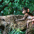 Les animaux de la savane afric